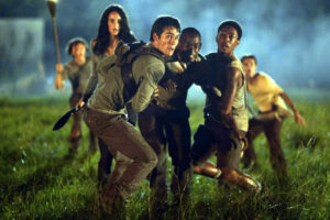 maze