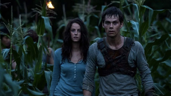 Maze Runner – il labirinto, le differenze tra libro e film