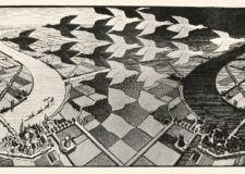 E11