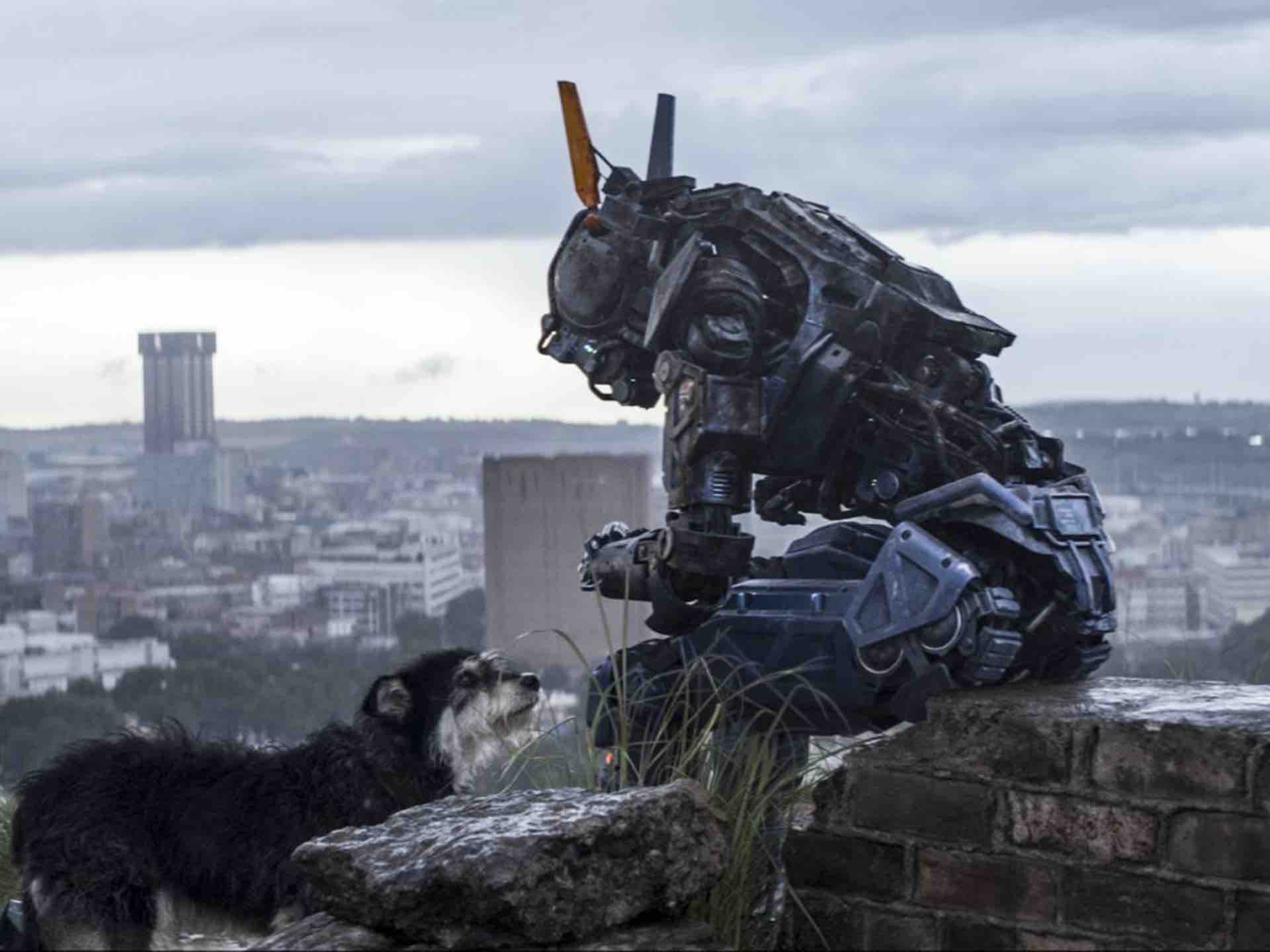 evidenza-chappie