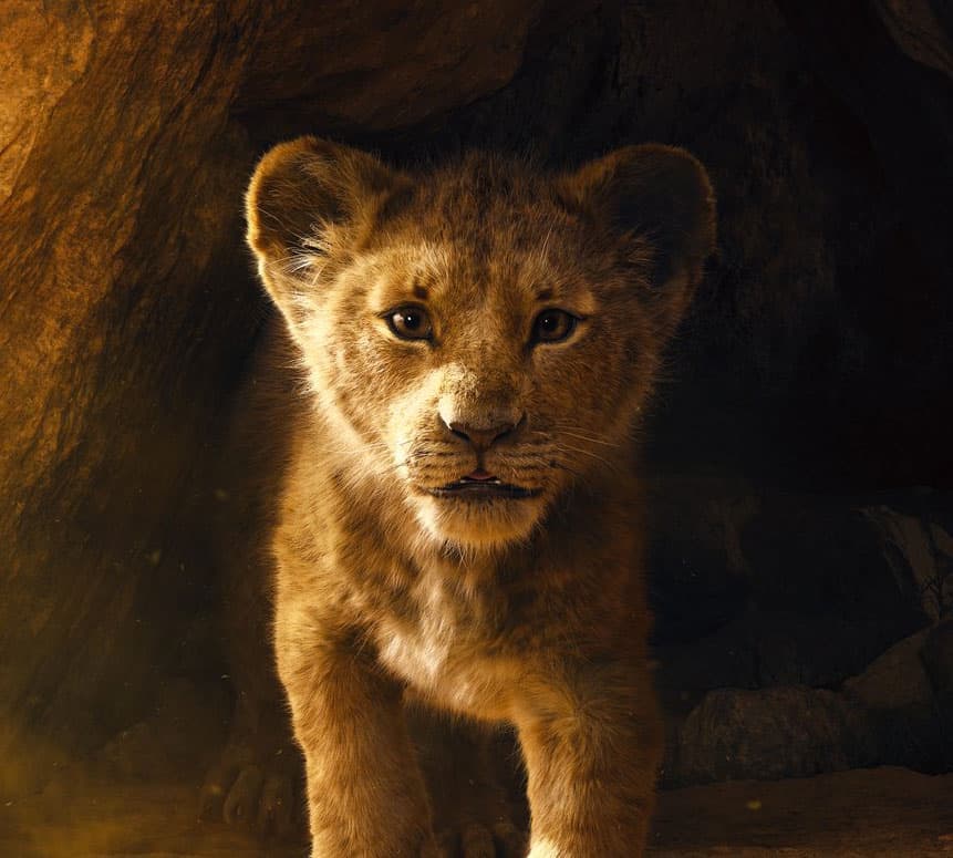 Il Re Leone, il primo trailer del nuovo film live action
