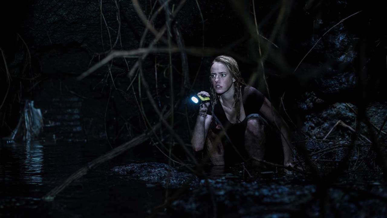 crawl recensione