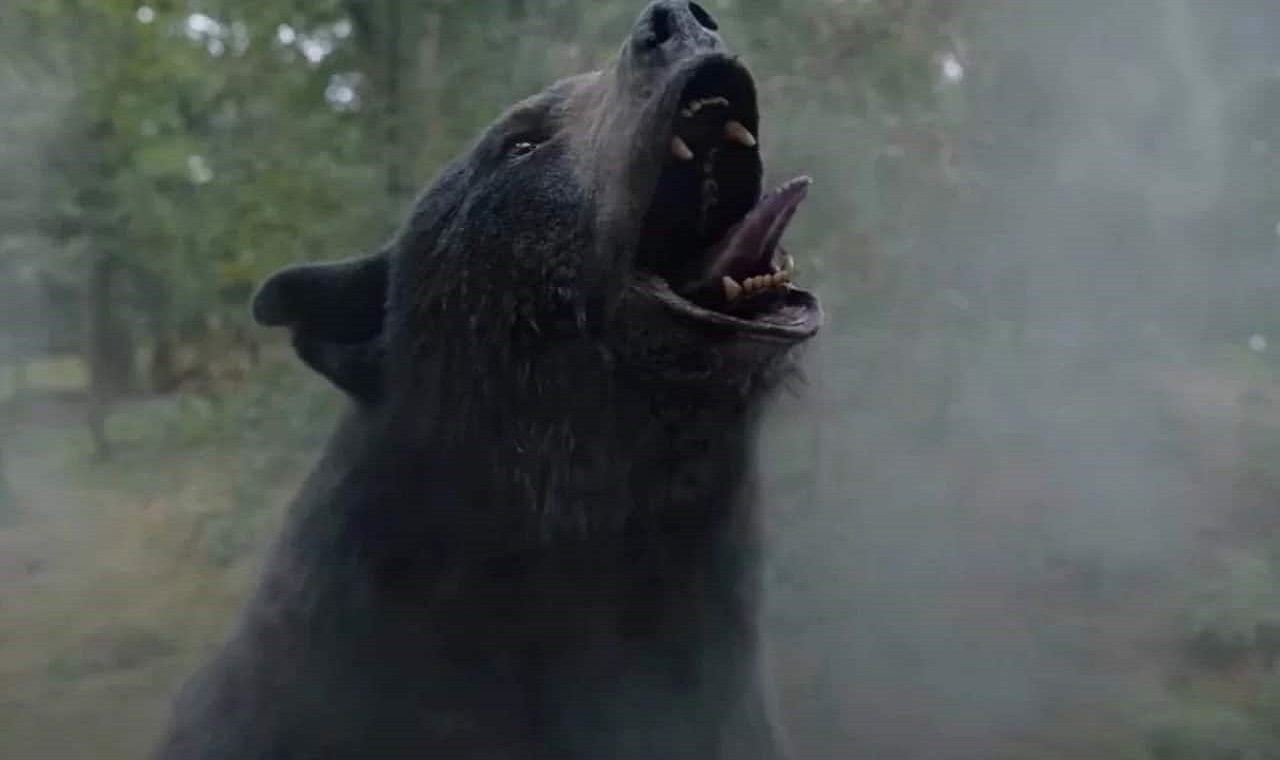 10 film con animali feroci da guardare prima di Cocainorso