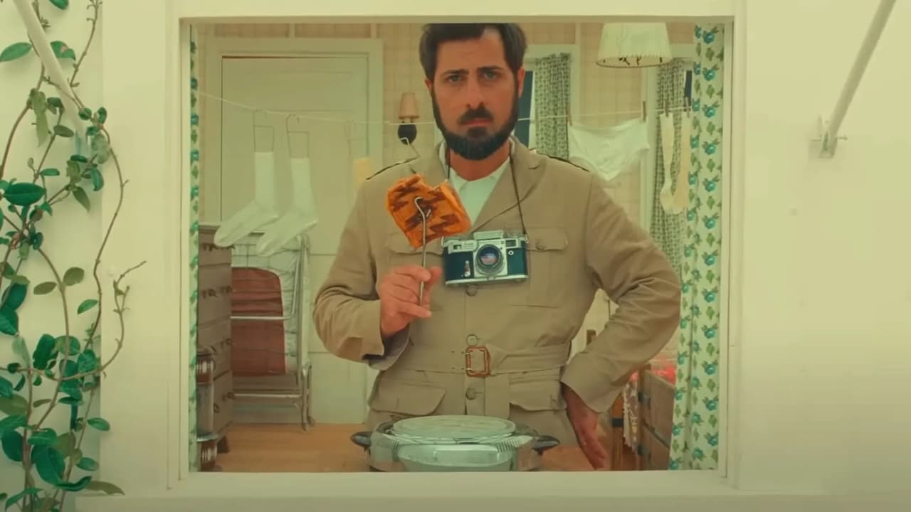I 10 attori che Wes Anderson sceglie sempre: ecco i volti più ricorrenti nei suoi film