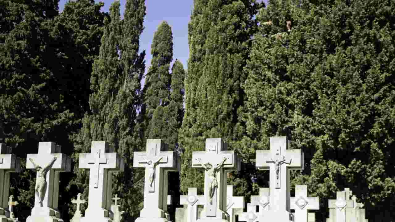 Perchè i cimiteri sono pieni di cipressi | Svelato il mistero