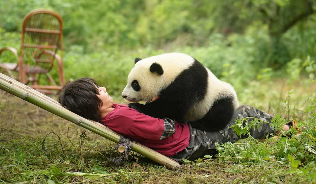 Moon – il panda, la recensione del nuovo film di Gilles de Maistre