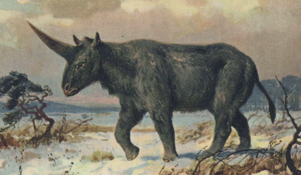 L'unicorno del passato