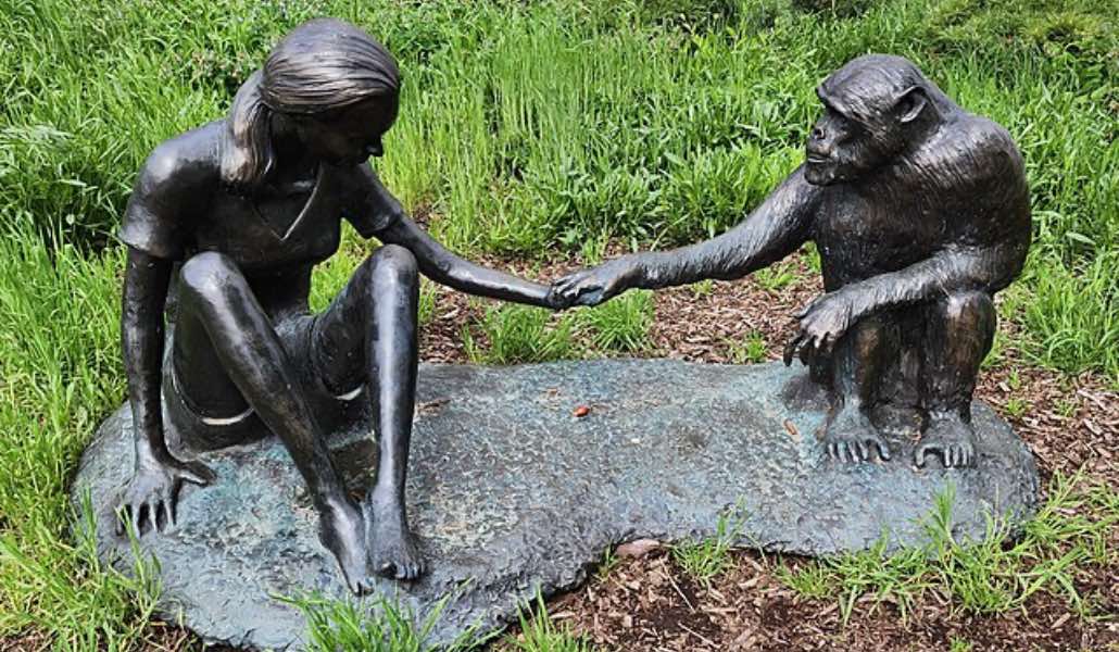 Scultura di Jane Goodall