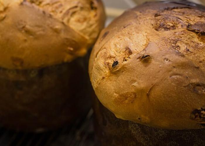 Panettone