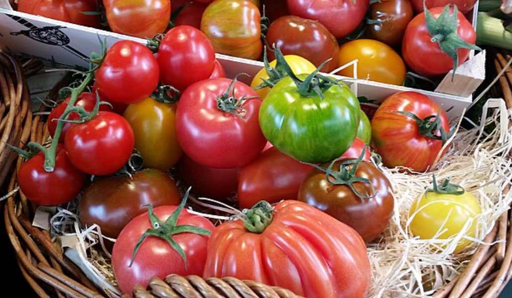 Pomodoro cinese